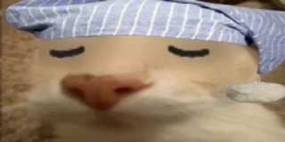 😴