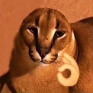 👌