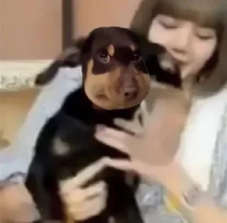 🤩