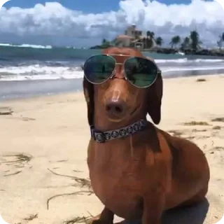 🏖