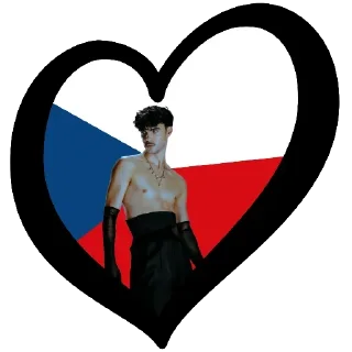 🇨🇿