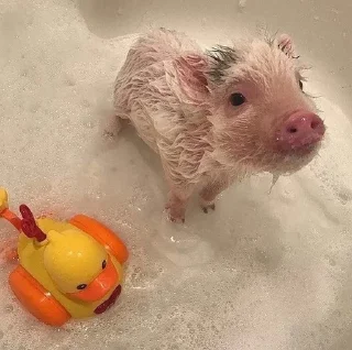 🧖‍♀
