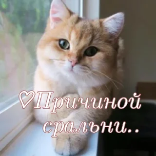 ☺