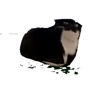 😏