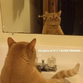 😳