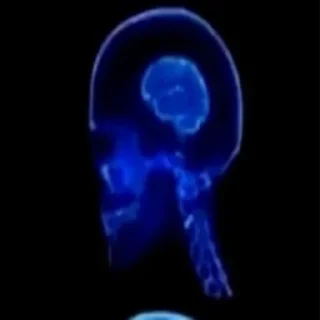 🧠