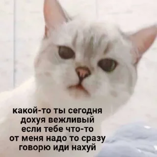 👀