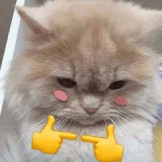❤️
