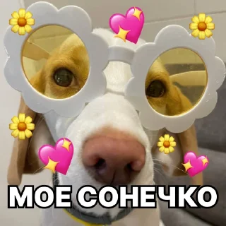 💖