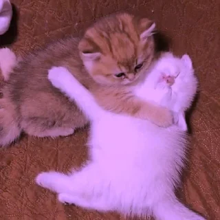 💜