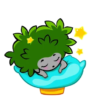 😴