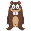 Beaver
