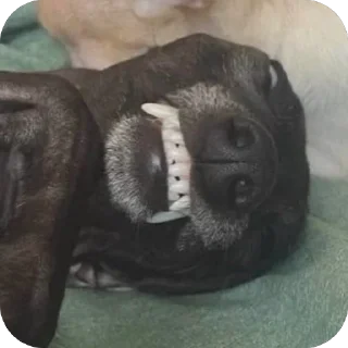😁