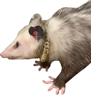 🥇