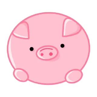 🐷