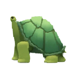 🐢
