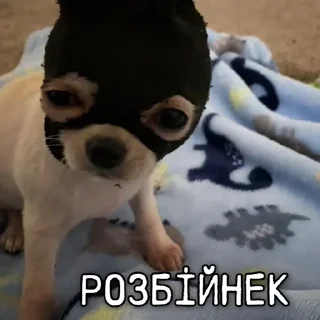 🥷