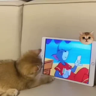 💕