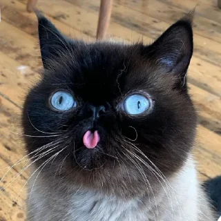 😛