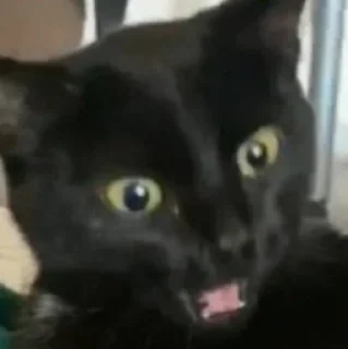 😳