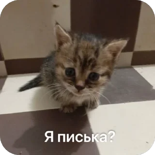 🥺