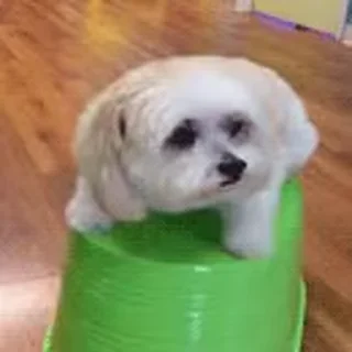 😧