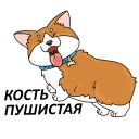 😼