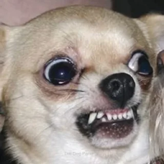 😨