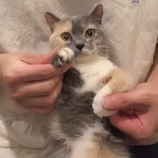 😍