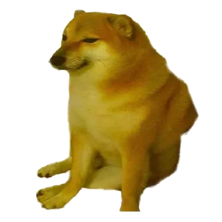 Собака - @Tg_stickersu