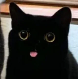 😛