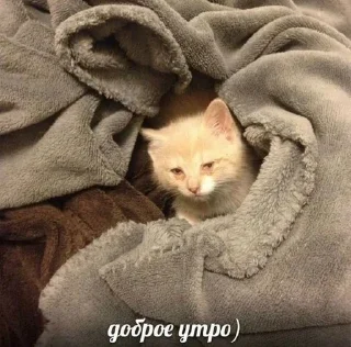 ☠
