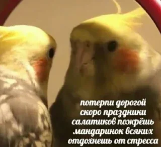 😌