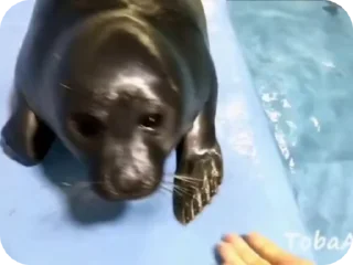 🤝