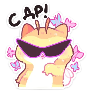😎