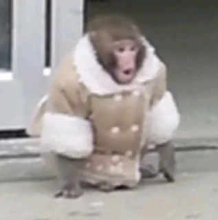😲