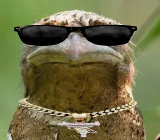 🪃