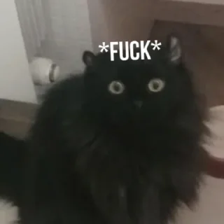 😳