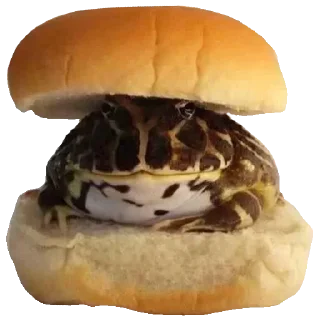 🐸