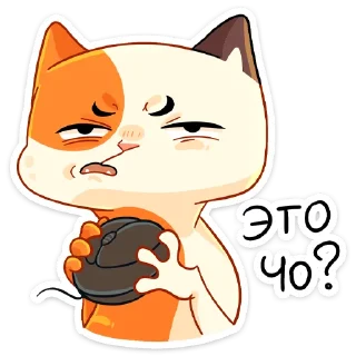 ❓