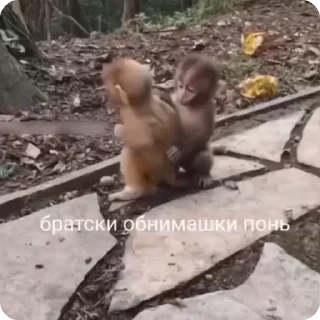 😘