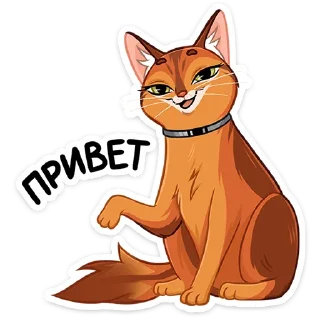 Бенгал и Сомали :: @stickroom