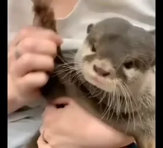 👋