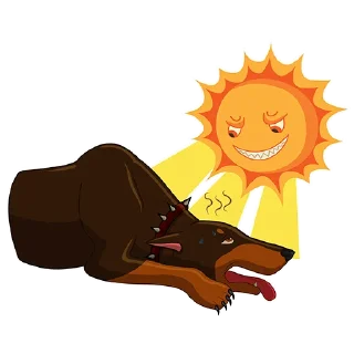 🌞