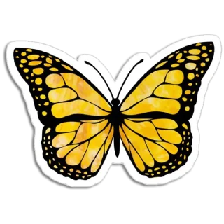 🦋