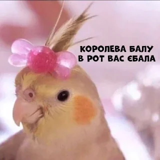 😏
