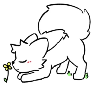 🐈