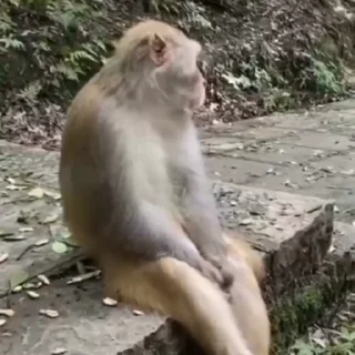🌏
