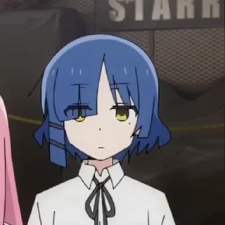 🐱