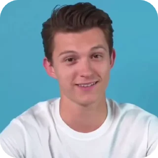 🕷️